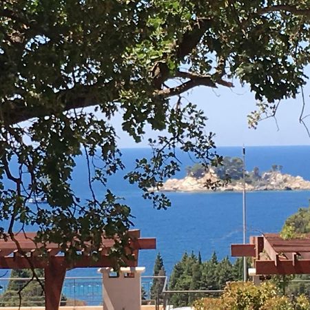 Villa Julia Petrovac Екстериор снимка