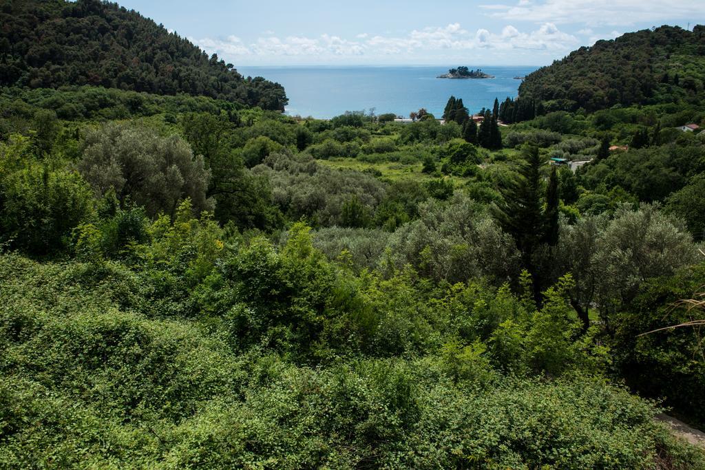 Villa Julia Petrovac Екстериор снимка