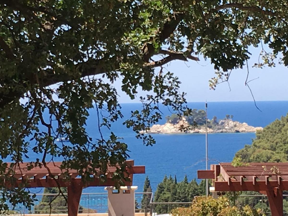 Villa Julia Petrovac Екстериор снимка