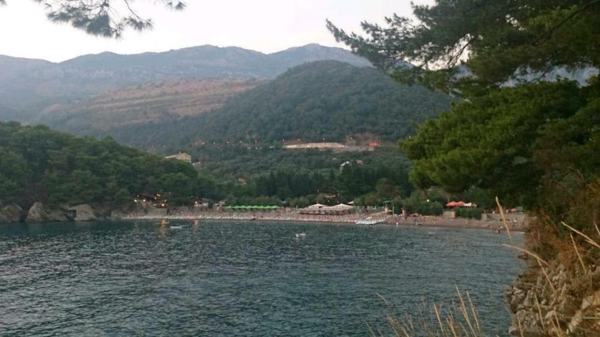 Villa Julia Petrovac Екстериор снимка