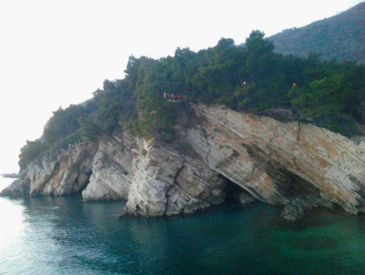 Villa Julia Petrovac Екстериор снимка